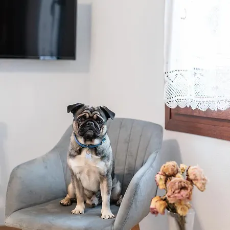 άρνη Apartmán Arnaía